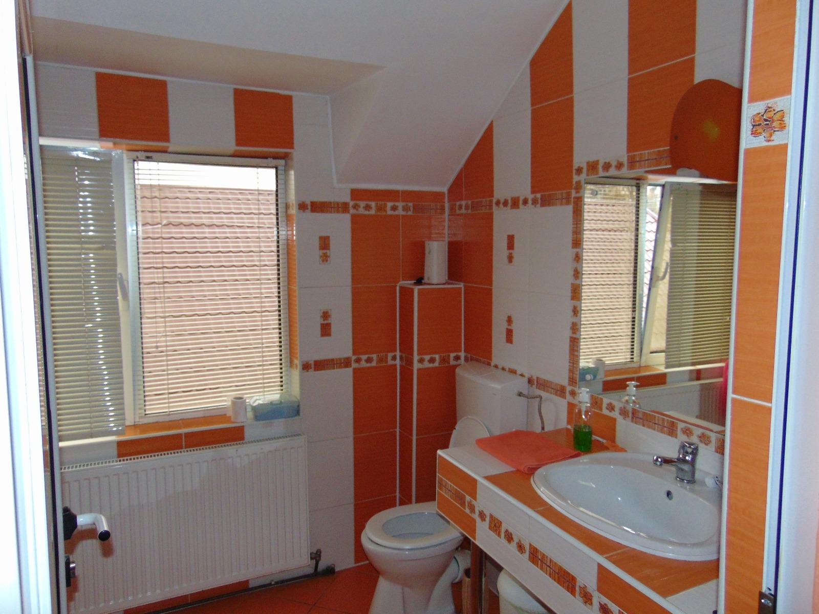 Casa de vânzare 6 camere Dambul Rotund - 29031CV | BLITZ Cluj-Napoca | Poza14