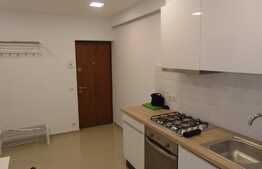 Apartament 2 camere, 50 mp, prima inchiriere, zona strazii Godeanu