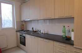 De vanzare apartament cu 2 camere, 40 mp, zona Stadion CFR