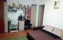 De vanzare apartament 2 camere, 35 mp, zona Casa Piratilor