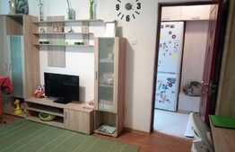 De vanzare apartament 2 camere, 35 mp, zona Casa Piratilor