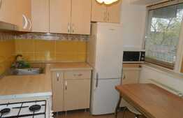 Garsoniera de inchiriat, 41 mp, zona strazii Horea