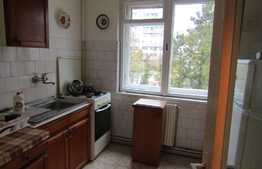 Apartament cu 2 camere, 44 mp, etaj intermediar, zona strazii Petuniei