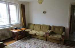 Apartament cu 2 camere, 44 mp, etaj intermediar, zona strazii Petuniei