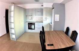 2 camere, 45 mp, terasa 50 mp, prima inchiriere, parcare, complex Viva City .