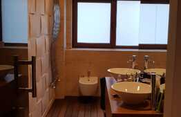 Apartament DEOSEBIT, la cheie! 217 mp utili, terasa, 2 garaje, zona VIVO!