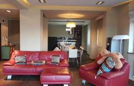 Apartament DEOSEBIT, la cheie! 217 mp utili, terasa, 2 garaje, zona VIVO!