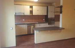 Vanzare 3 camere, 69 mp, terasa de 30 mp! Parcare! Zona strazii Stejarului!