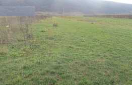 Teren intravilan de 2600 mp, front de 22 ml! Zona de case!