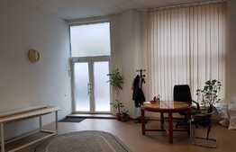 Spatiu comercial, 100 mp, vitrina la strada, zona Platinia