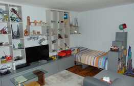 Proprietate primitoare, 384 mp teren, zona excelenta!