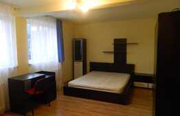 Apartament cu 1 camera, 50 mp, zona Calea Floresti