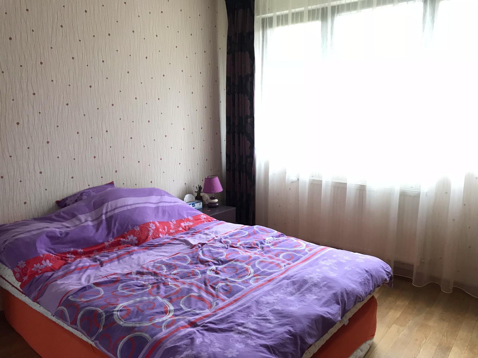 Casa de vânzare 5 camere Gruia - 29099CV | BLITZ Cluj-Napoca | Poza11