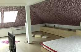 Apartament de 120 mp pe 2 niveluri cu terasa de 14 mp, parcare, zona strazii Edgar Quinet!