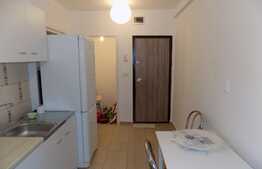 Apartament 2 camere, 45 mp, prima inchiriere, zona Hotel Premier