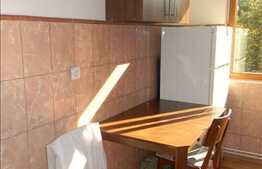 Apartament cu 2 camere in zona Garii!