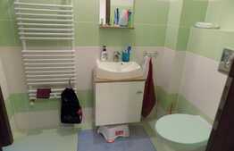 Apartament pe doua niveluri, 113 mp, la cheie! Terasa de 12 mp! Zona Porii!