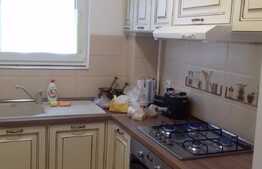 Apartament modern cu 2 camere, 56 mp, terasa de 122 mp, zona Romul Ladea