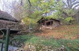 Apartament in casa, de 100 mp, 3 camere, teren de 978 mp, zona strazii Eremia Grigorescu