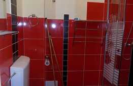 Apartament 1 camera, 56 mp, PRIMA INCHIRIERE, zona Piata Avram Iancu