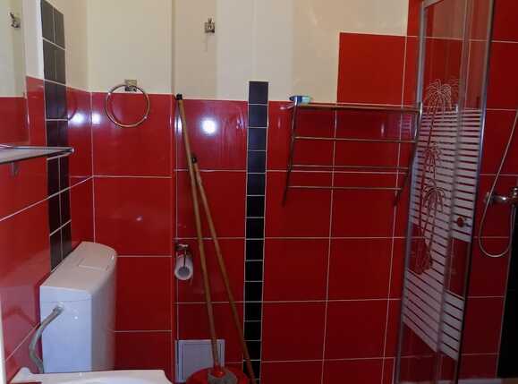 Garsonieră de închiriat Central - 29146AI | BLITZ Cluj-Napoca | Poza12