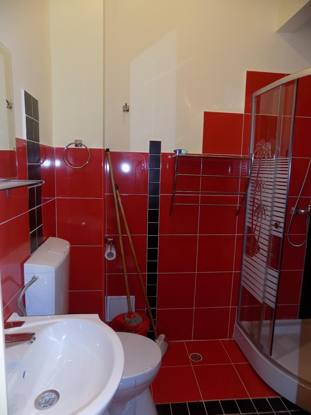 Garsonieră de închiriat Central - 29146AI | BLITZ Cluj-Napoca | Poza12