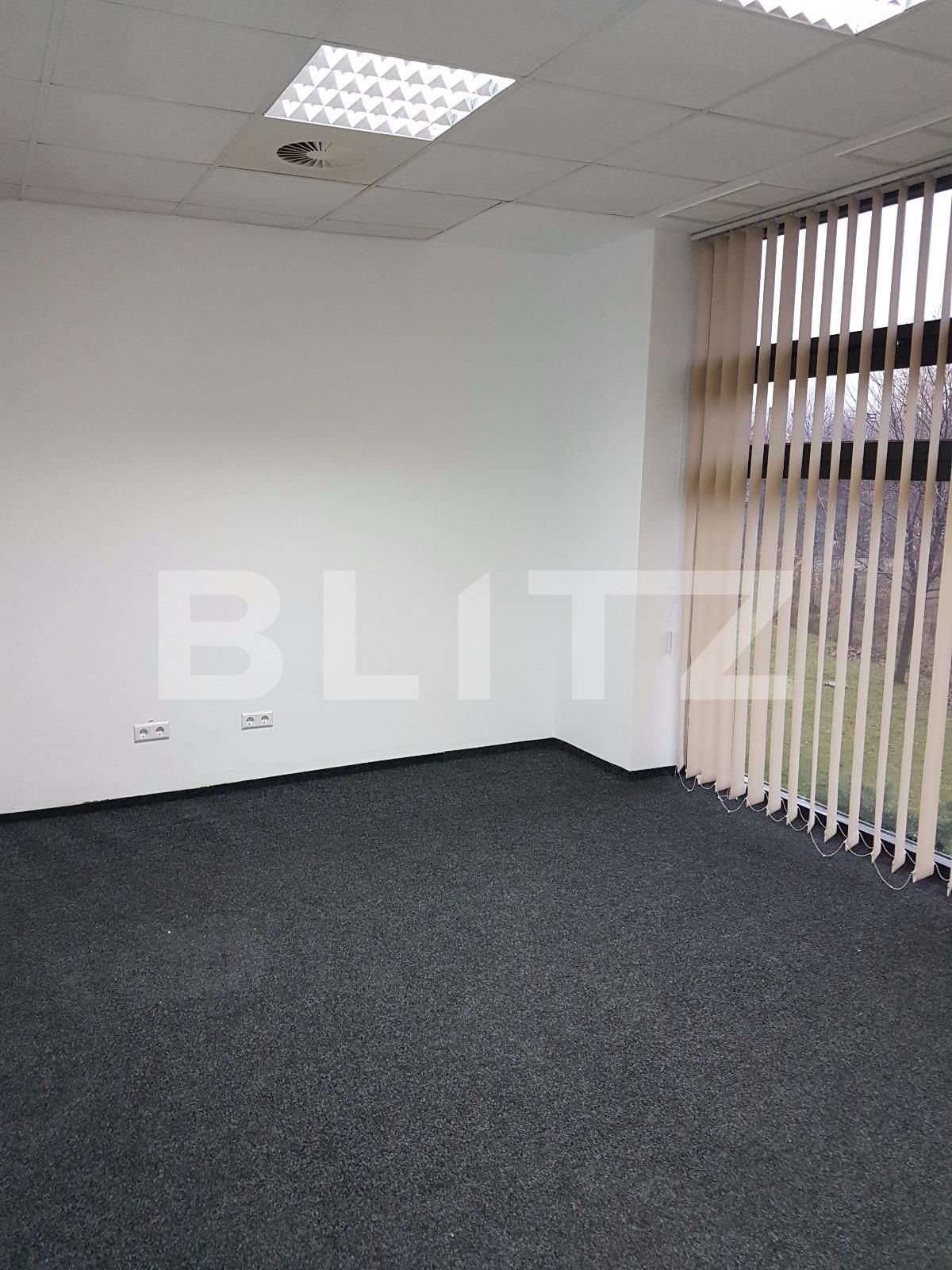 Spațiu birouri de închiriat Plopilor - 29178SIB | BLITZ Cluj-Napoca | Poza2
