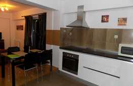 Apartament  2 camere, 46 mp, garaj, terasa 12 mp, zona Piata 1 Mai