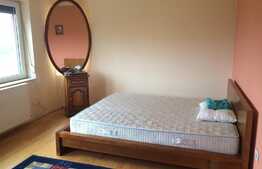 Triplex de vanzare, 180 mp utili, 250 mp teren, zona Lidl!