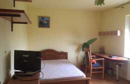 Triplex de vanzare, 180 mp utili, 250 mp teren, zona Lidl!