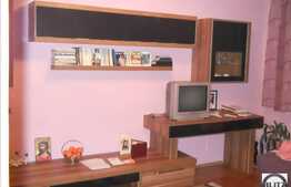 48 mp in zona Pietei Abator!