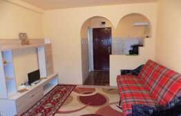 Garsoniera de inchiriat, 23 mp, recent renovata, zona Expo Transilvania