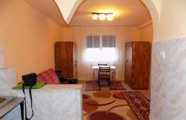 Garsoniera de inchiriat, 23 mp, recent renovata, zona Expo Transilvania