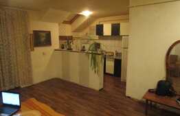 Garsoniera 32 mp, balcon de 5,6 mp, complet mobilata, zona strazii Florilor!