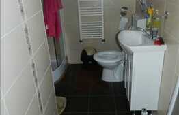 De vanzare apartament cu 2 camere, dispus pe 2 nivele , cu scara interioara