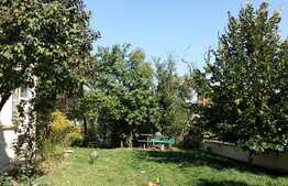 Apartament 3 camere, 77 mp, gradina de 129 mp, parcare, boxa, zona strazii Horea