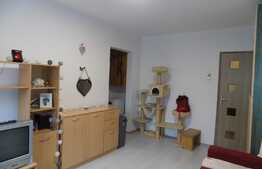 Apartament 2 camere, 37 mp, zona Casa Piratilor