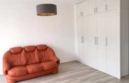 Garsoniera, 37 mp, imobil nou, prima inchiriere, pet friendly,  zona Iulius Mall