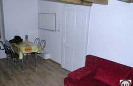 1 camera, 40 mp, mezanin, mobilat modern, zona B-dului 21 Decembrie