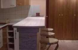 De inchiriat garsoniera de 24 mp, parcare, zona Dedeman