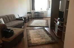 Apartament cu 1 camera, decomandat, 40 mp, Calea Motilor