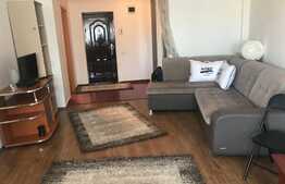 Apartament cu 1 camera, decomandat, 40 mp, Calea Motilor