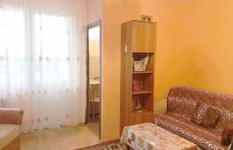 De vanzare garsoniera 28 mp, etaj intermediar, zona Facultatea Bogdan Voda