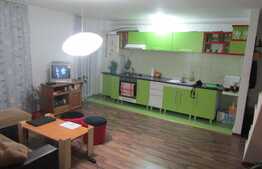 Apartament pe 2 niveluri, 4 camere, 89 mp! Zona strazii Muzeul Apei!