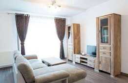 2 camere, 55 mp, parcare, totul nou, zona strazii B.P. Hasdeu!