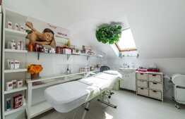 Imobil pentru clinica sau birouri 