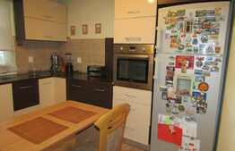 Duplex de 110 mp utili, teren de 100 mp! Zona strazii Somesului!