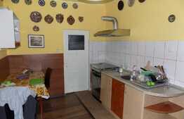 Apartament cu 1 camera, 45 mp, terasa 40 mp, parcare, zona strazii Artelor