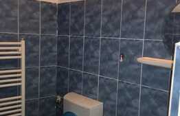 Garsoniera 20 mp, mobilata si utilata, centrala proprie, zona Stadion CFR