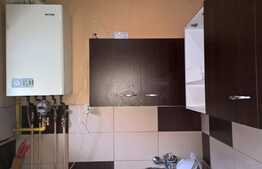 Garsoniera 20 mp, mobilata si utilata, centrala proprie, zona Stadion CFR